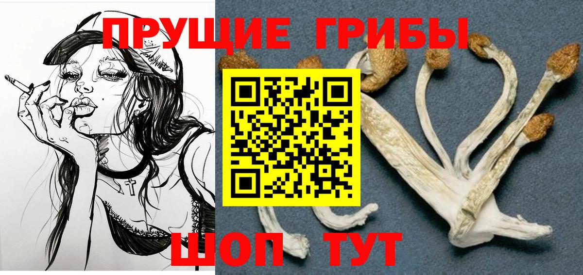 Псилоцибиновые грибы Cubensis  Вход с VPN  Джанкой  Галлюциногенные грибы прущие грибы 